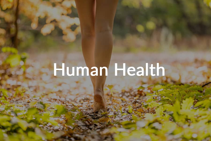 human health