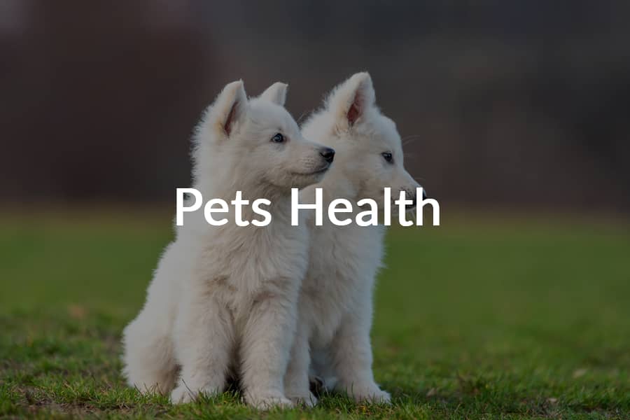 pets health